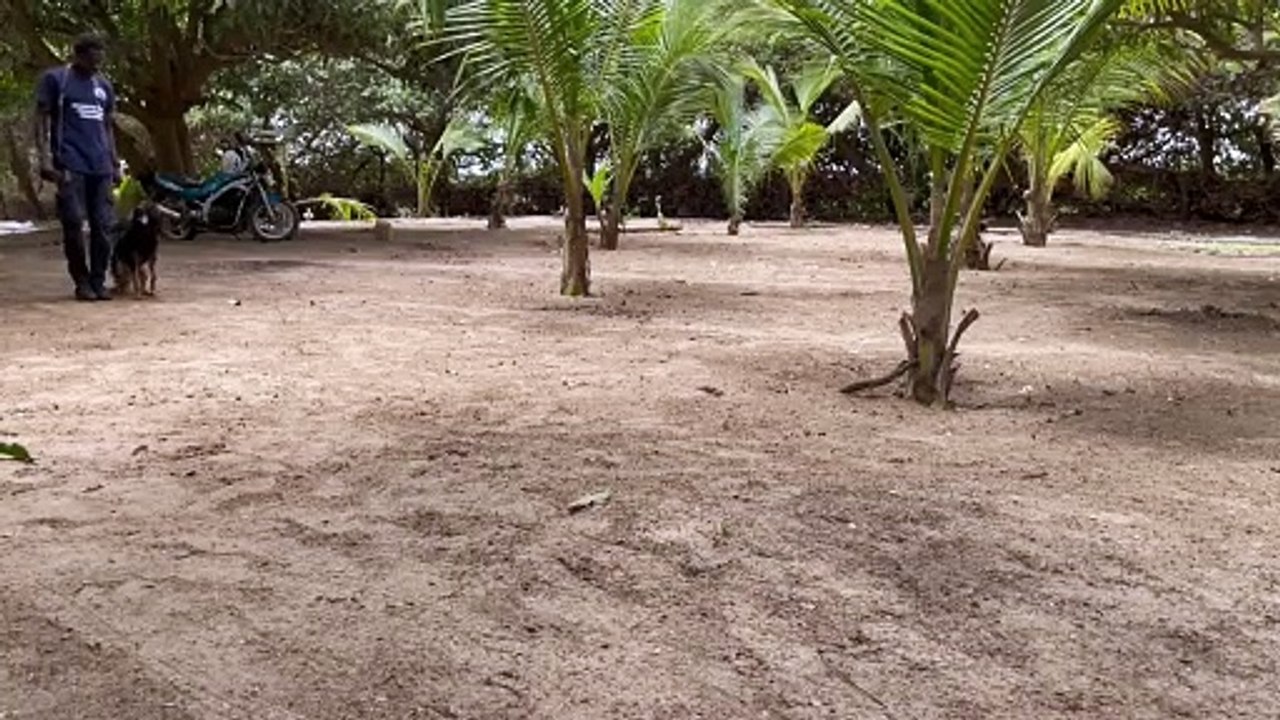 Entraînement