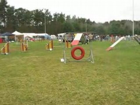 St avold elisabeth tolkien gpf 160308