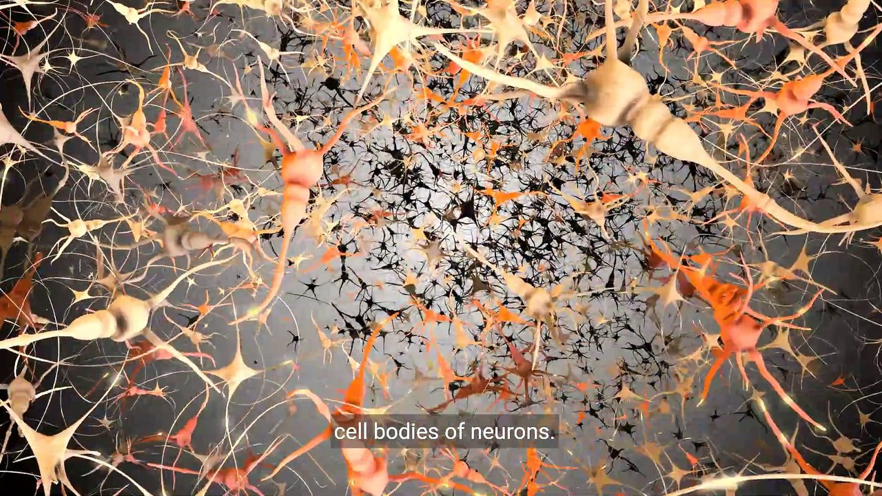 Cell Channels