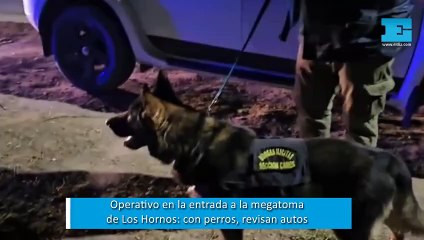 Operativo en la megatoma de Los Hornos: con perros, revisan auto por auto