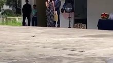 Conoce a Flavio, perrito callejero que recibió diploma de graduación