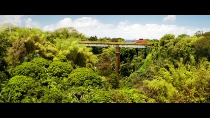 School of Magical Animals 2 | movie | 2022 | Official Trailer