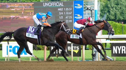 Exploring the Turf Horse Monopoly in Horse Racing | Analysis