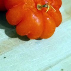 -Andrés de Jesús Vélez Franco- El papel de las mujeres en el cine de acción (PARTE 2) (@AndresdeJesus90)