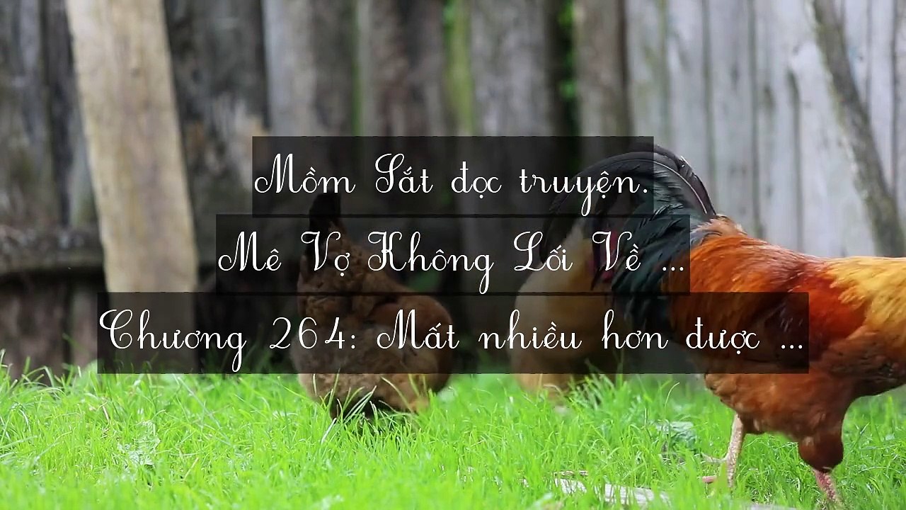 Chương 261-270: Mê Vợ Không Lối Về