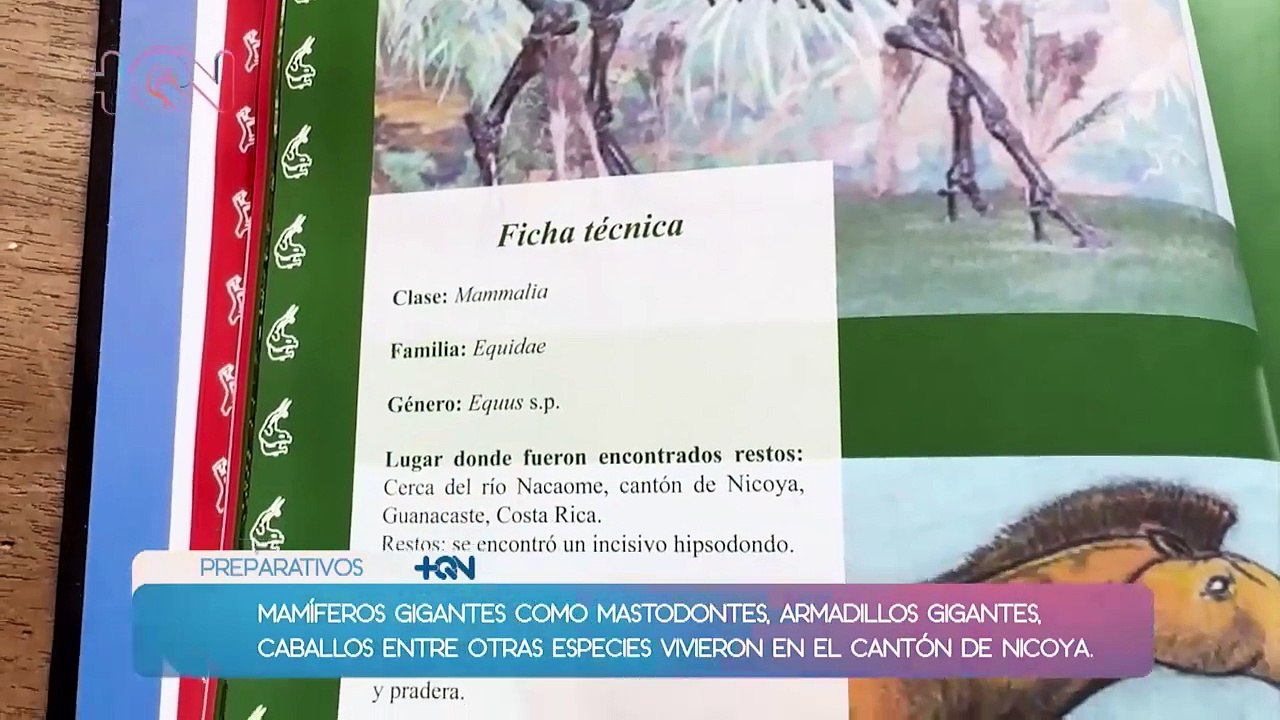 qn-especial4-120724