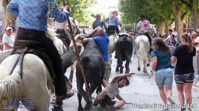 ST ELOI 2024 TRETS - 12Juill2024 Abrivado & interbars vachettes