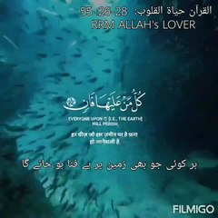 Qurani talimaat