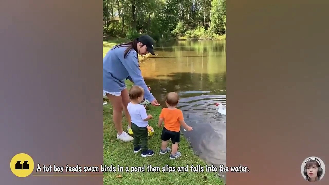 Funny Goose Chasing Babies Compilation __ Just Funniest(720P_HD)