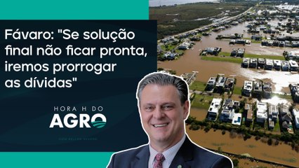 Renegociação do agro do RS deve sair até 15 de agosto, diz ministro | HORA H DO AGRO