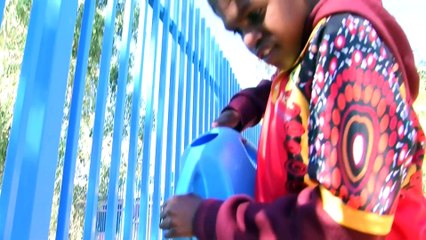 Community gardens established in the NT to improve health