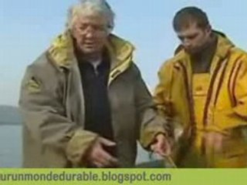 Enquête sur les PCB