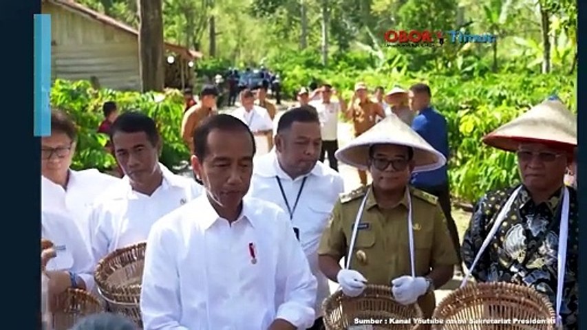 KUNKER KE LAMPUNG, JOKOWI TENGOK PANEN KOPI