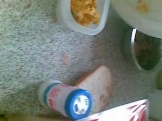 Gerilla 20080416 REggeli tanc