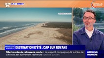 Amoureux de nature, de plage et d'histoire: cap sur Royan en Charente-Maritime pour vos vacances