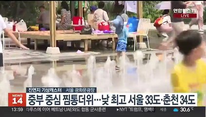 [날씨] 주말 찜통더위 속 소나기…남해안·제주 장맛비