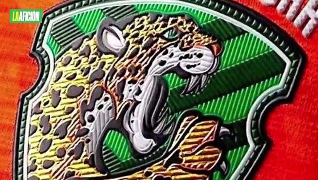 Jaguares de Chiapas y Alacranes de Durango no fueron aceptados en Liga de Expansión