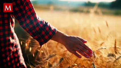 Fritz Haber: El científico que gano el premio nobel que provocó la muerte de millones de personas