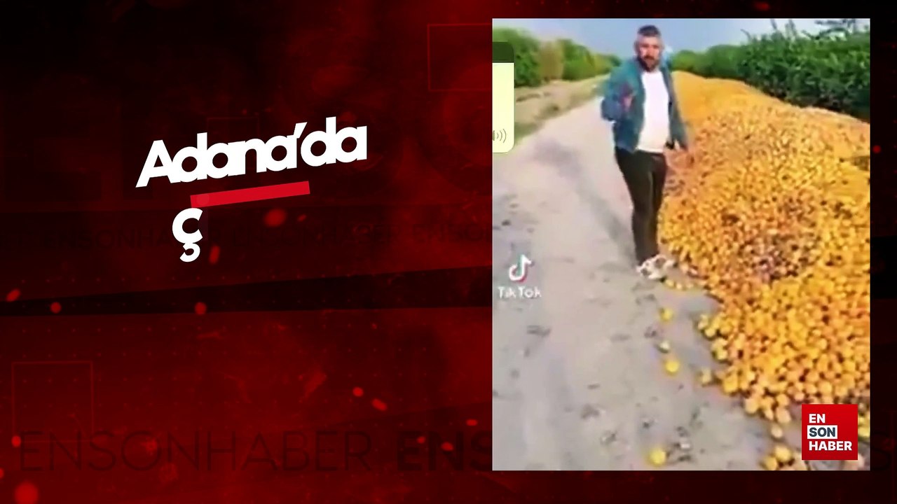 Adana'da çiftçinin limon isyanı