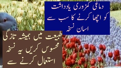 dimaghi kamzori ka ilaj# dimaghi ka