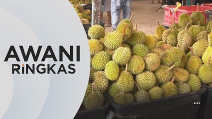 AWANI Ringkas: Balik Pulau jadi tumpuan penggemar durian