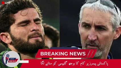 Managing Workload| Gillespie Concerned About Pakistan Pacers | Shaheen Afridi & Naseem| Cric Revels