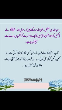 یہ تو انکھ بھی پھوڑ سکتی ہے اور دانت بھی توڑ سکتی ہے #trending#viral#shorts#dailymotion#islamic#foryou