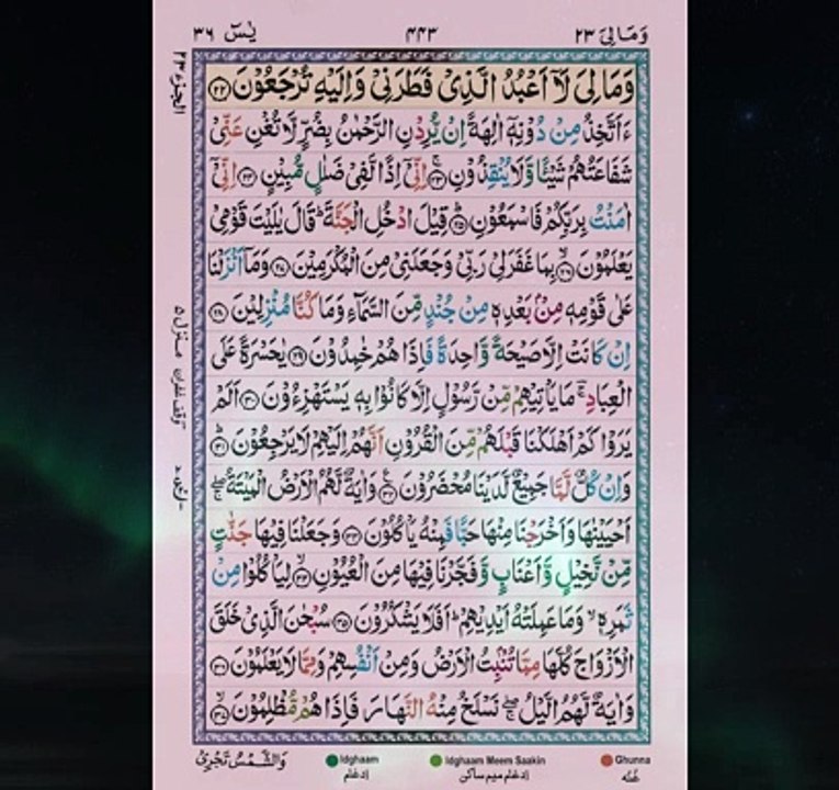 Surah Yaseen (Ya-Sin) - یٰسٓ ۚ