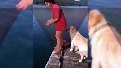 Funniest Animal Fails Ever Cute Dogs And Cats Compilation