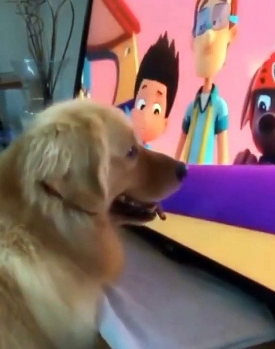 Ultimate Baby Dogs - Cute and Funny Dog Videos Compilation #2 #funnydogs #cutedogs #dogvines