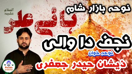 نجف دا والی ، ہئیی دھی سوالی،  سرائیکی نوحہ ، بازارِشام  ، نوحہ خوان ذیشان حیدر جعفری  Najaf daa waali, hai dhee swalai, saraiky noha, Zeeshan Haider Jaffary,