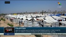 Campamento en Palestina acoge a los niños que perdieron a sus padres y sus hogares