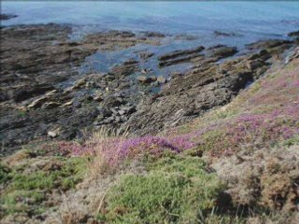PAYSAGES BRETON