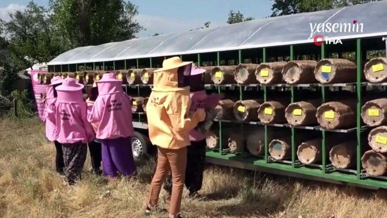 "Pembe maske" ile işe koyulan Vanlı kadın arıcılara 250 kovan desteği! Kıyafetleri dikkat çekti