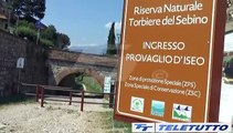 Video News - Nuovo Infopoint alle Torbiere
