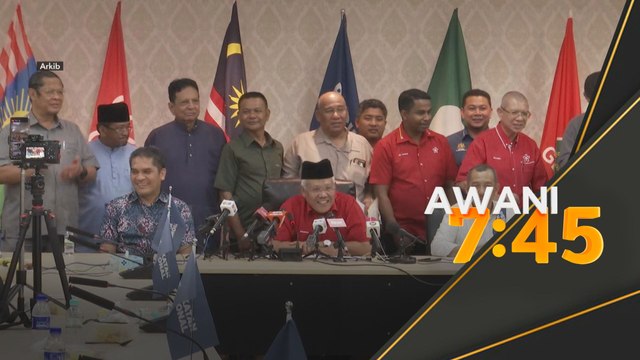 Peja undur diri, Hamzah bertanding Timbalan Presiden Bersatu