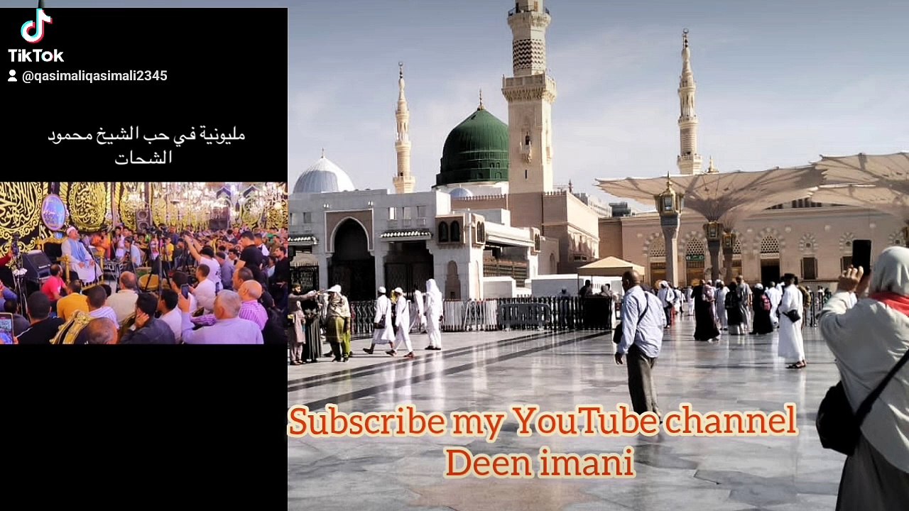 الشیخ قاری محمود شحات انور