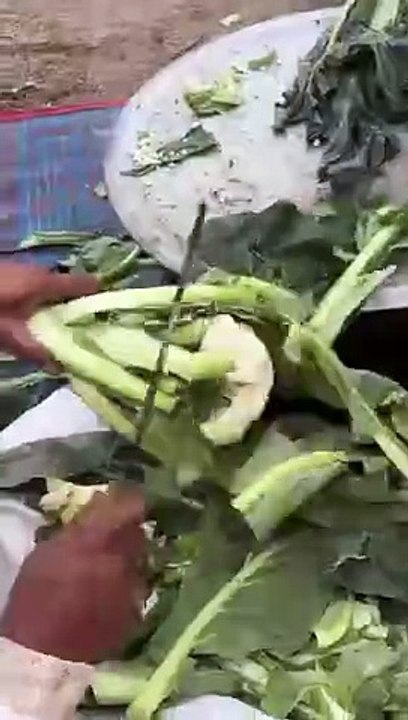 Cauliflower in the Jungle 