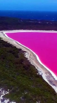 Lago Hillier, Australia #viral #trending #travel