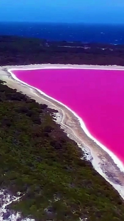 Lago Hillier, Australia  #viral #trending #travel