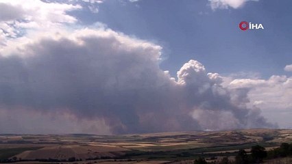 Bulgaristan-Türkiye sınırında yangın