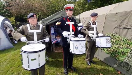 Wednesbury Carnival 🎉