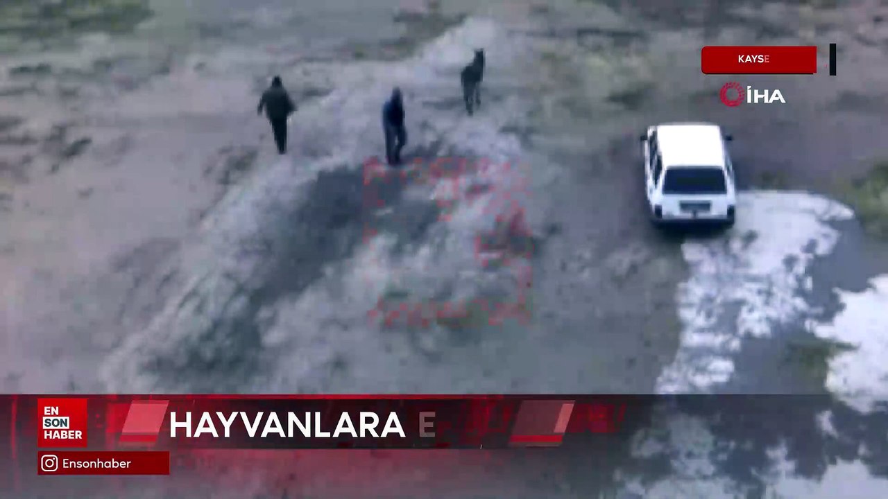 Kayseri'de Çiftliği basıp, eşeği bıçaklayarak, atları zehirleyerek öldürdüler