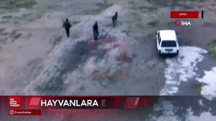 Kayseri'de Çiftliği basıp, eşeği bıçaklayarak, atları zehirleyerek öldürdüler