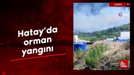 Hatay'da orman yangını: Havadan müdahale başladı