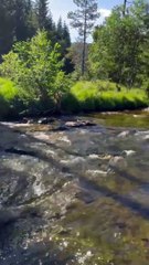 Erling Haaland'dan Gündem Yaratan Paylaşım! ⚽