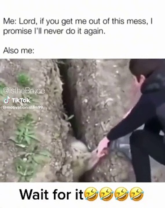 Arabic _funny _video