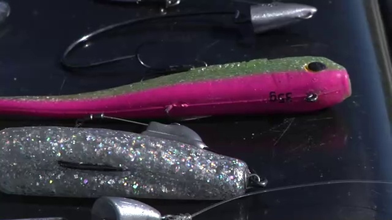 7 ASTUCES pour PECHER au SHAD avec des PALETTES