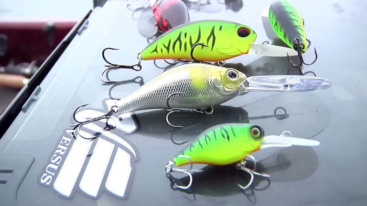 Comment pêcher au CRANKBAIT ? (brochet, perche, sandre...)