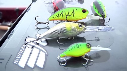 Comment pêcher au CRANKBAIT ? (brochet, perche, sandre...)